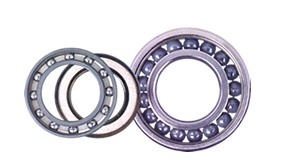 Hybrid Bearings